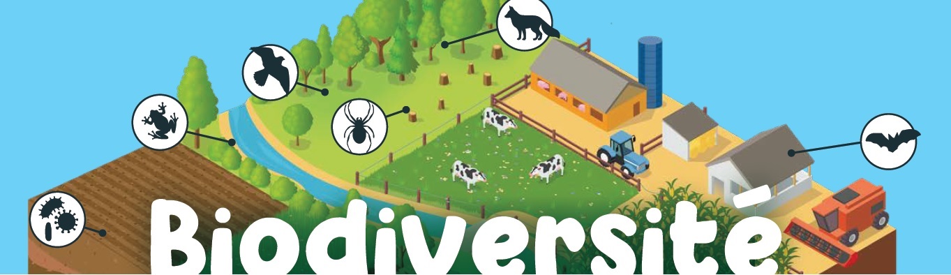 Webinaire Biodiversité