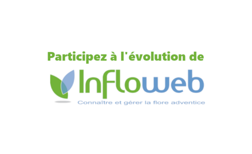 Logo Infloweb