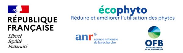 Bandeau AAP ECOM